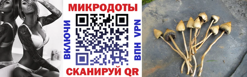 Галлюциногенные грибы MAGIC MUSHROOMS  Сарапул 